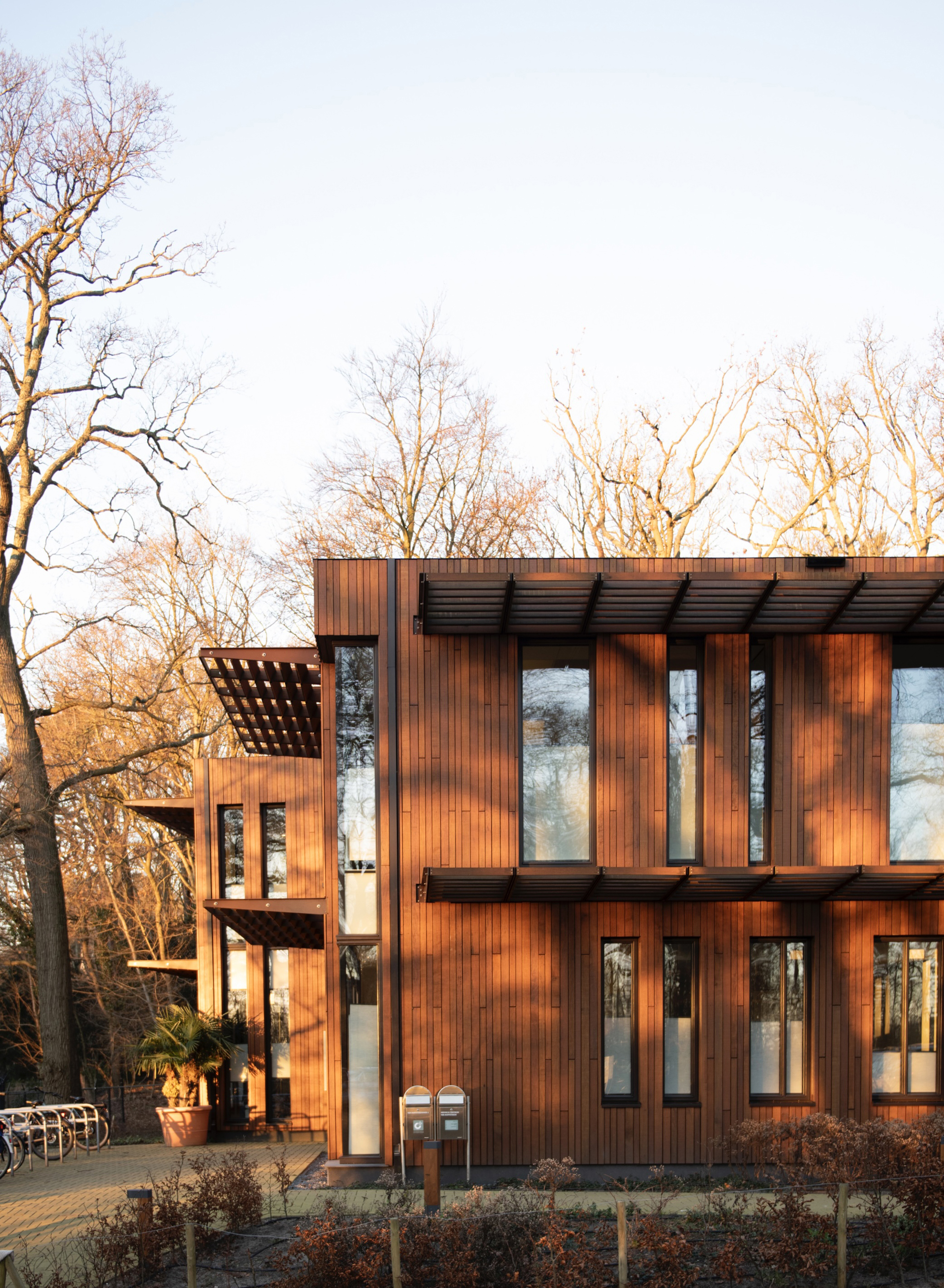 Natuurgeneeskundehaarlem